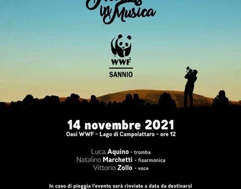 Natura in Musica, domenica ultimo appuntamento presso la diga di Campolattaro