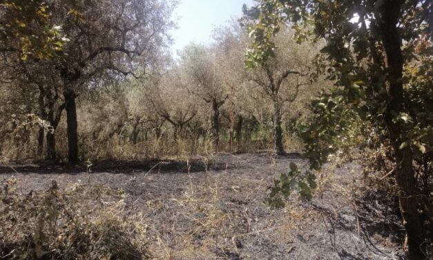 Cerreto Sannita, individuato 70enne piromane