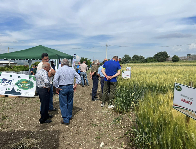 Cinquecento imprese cerealicole in campo a Benevento per la ricerca di varietà resistenti ai cambiamenti climatici