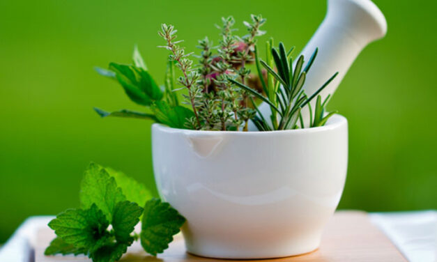 Incompiuta ‘Laboratorio delle erbe officinali del Matese’, il comune di San Lorenzello ottiene l’intervento del tribunale