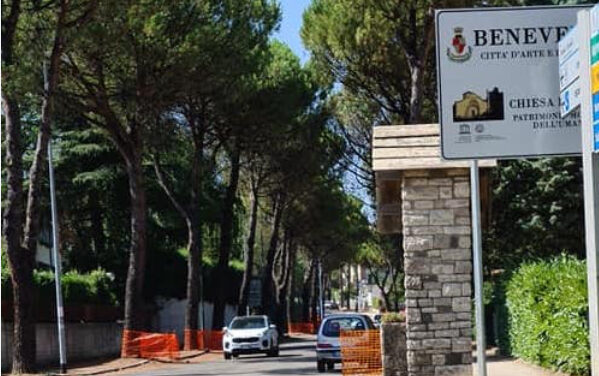 Benevento, modifiche al traffico per i test sui pini: ordinanza dispone le attività cronoprogrammate