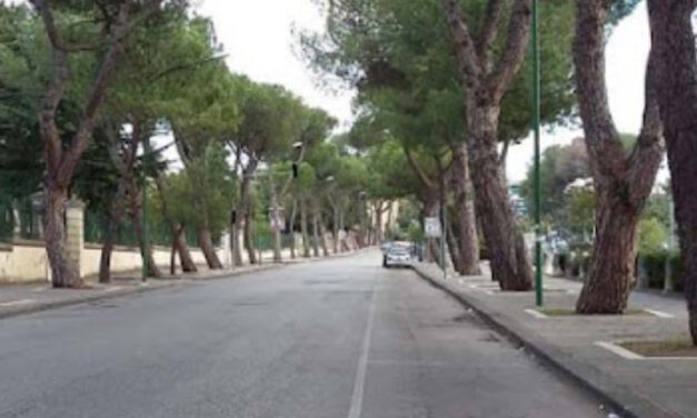 Benevento, operazioni sostitutive di alberi pericolosi al via martedì 9, si proseguirà fino al 13 settembre