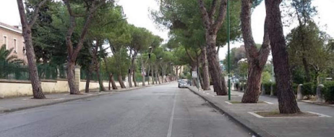 Benevento, operazioni sostitutive di alberi pericolosi al via martedì 9, si proseguirà fino al 13 settembre
