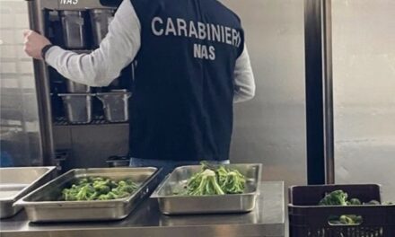 SALERNO, AVELLINO E BENEVENTO: CONTROLLI DEL NAS NEL SETTORE ALIMENTARE. SOSPESE TRE ATTIVITÀ PRODUTTIVE E SEQUESTRATI ALIMENTI