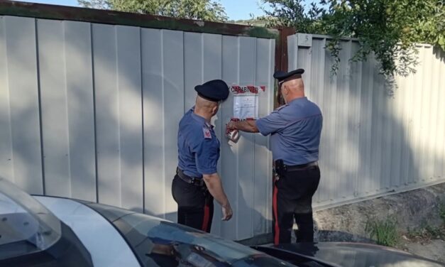 APICE, CONTROLLI IN TERRENO AGRICOLO: SEQUESTRATA AREA CON RIFIUTI E ALLEVAMENTO AVICOLO IRREGOLARE